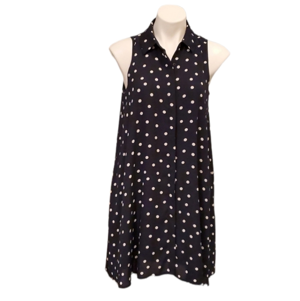 Adrianna Papell Blue and White Polka Dot Dress